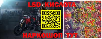 прущие грибы Кимры
