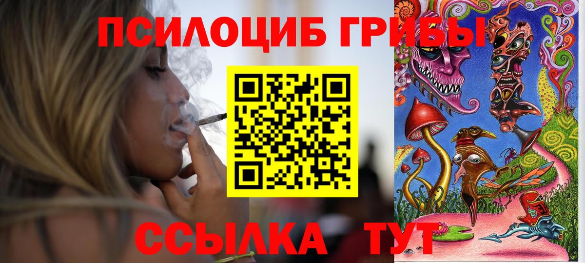 Галлюциногенные грибы мицелий  где найти   Вход с VPN  Краснокаменск  Псилоцибиновые грибы Cubensis 