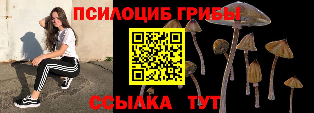 Галлюциногенные грибы ЛСД Краснокаменск